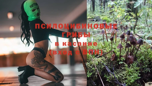 твердый Алзамай