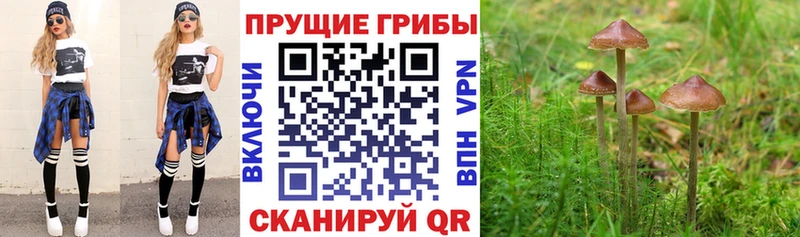 Галлюциногенные грибы GOLDEN TEACHER  Камышин 