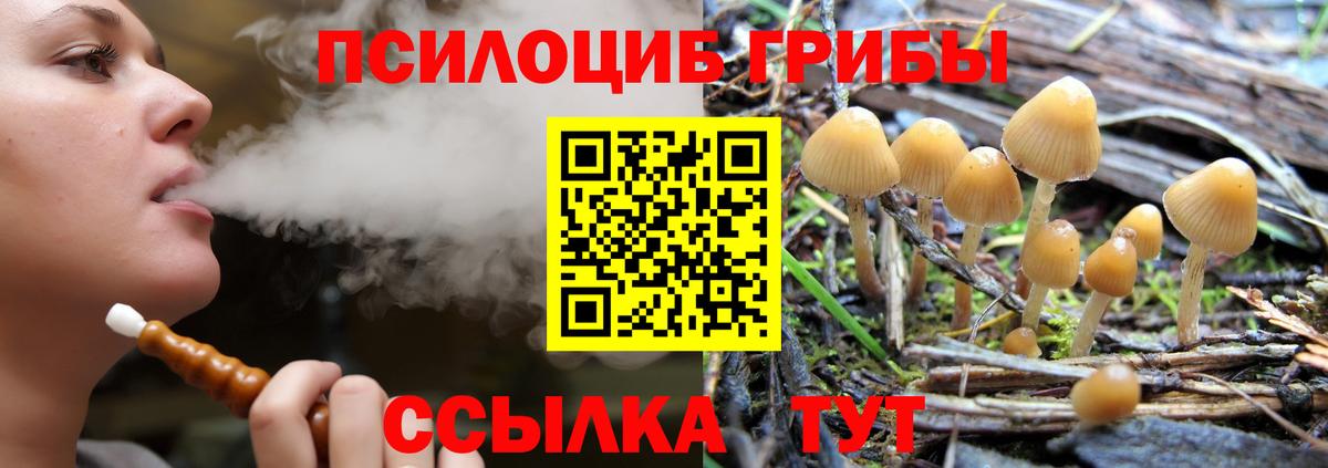 Псилоцибиновые грибы мицелий Камышин